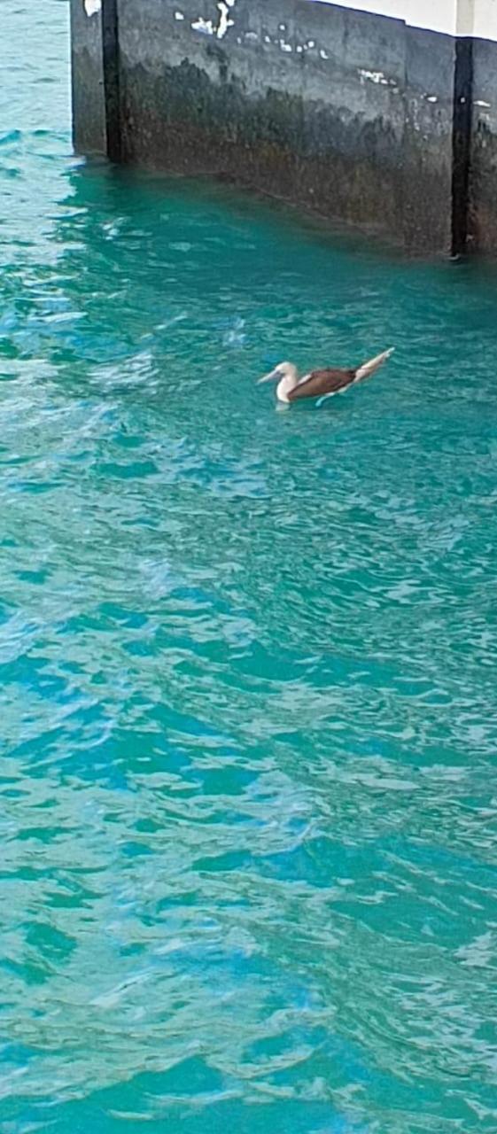 El Paraiso Puerto Ayora  Eksteriør billede