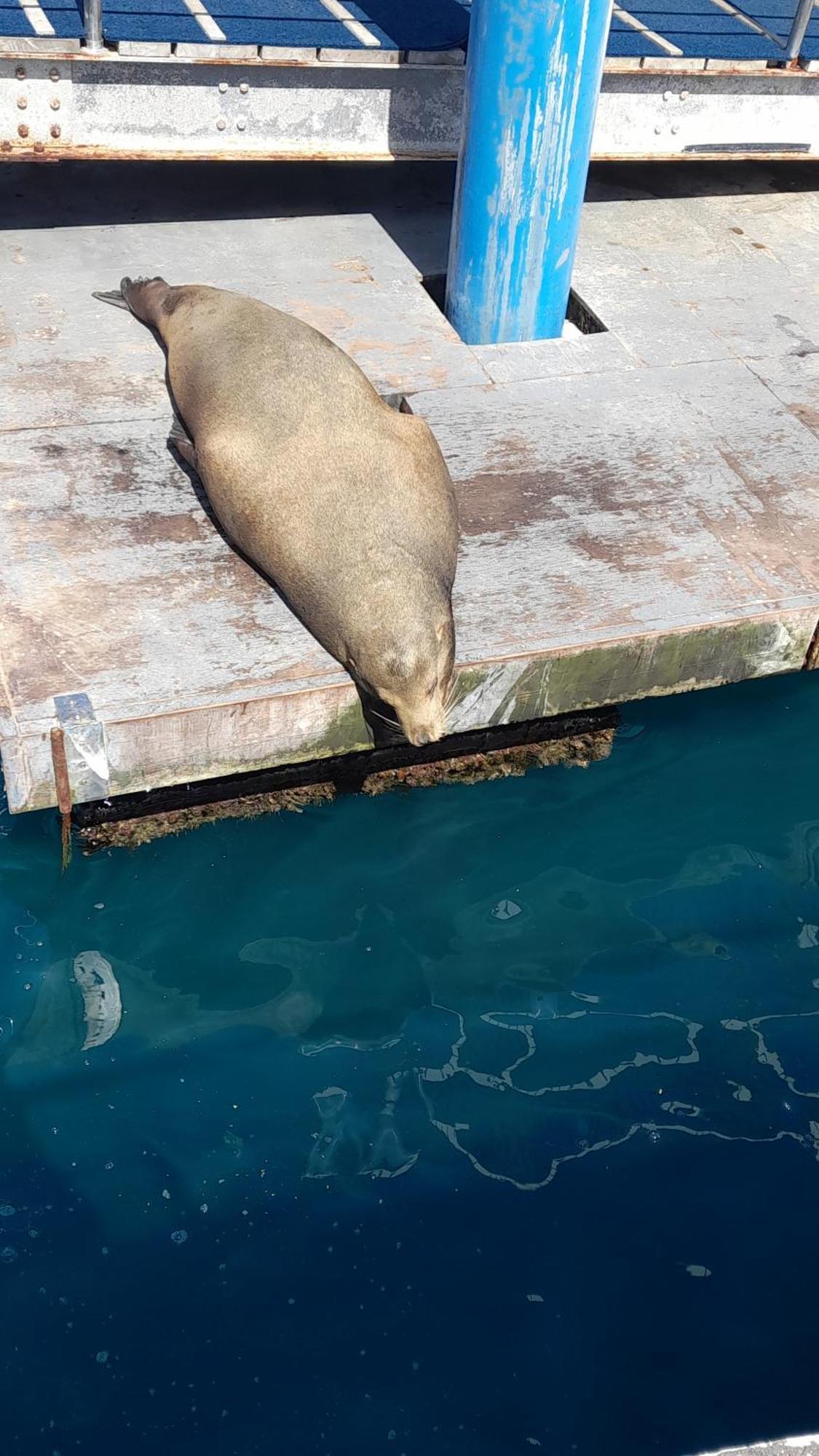 El Paraiso Puerto Ayora  Eksteriør billede